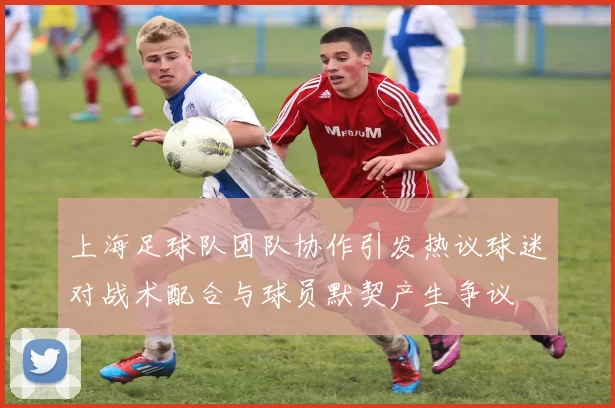 上海足球队团队协作引发热议球迷对战术配合与球员默契产生争议