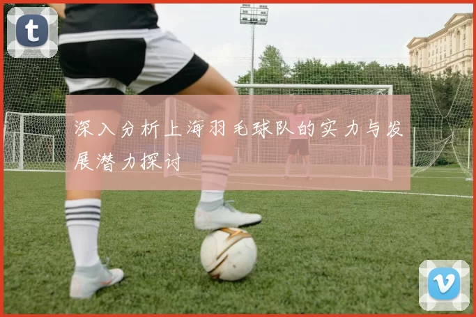 深入分析上海羽毛球队的实力与发展潜力探讨